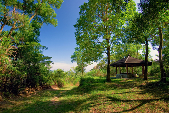 郊野公園的圖片搜尋結果