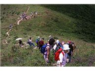 Hiking in Sai Kung